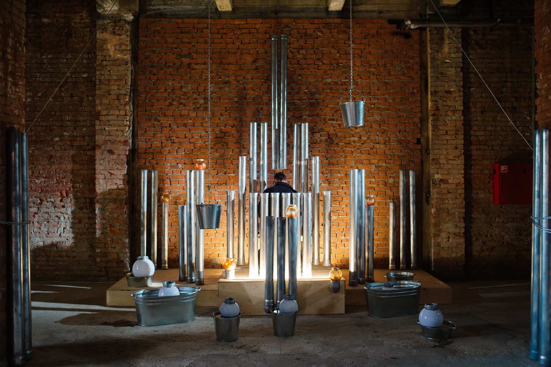 Мистерия «О чем говорят муравьи?»