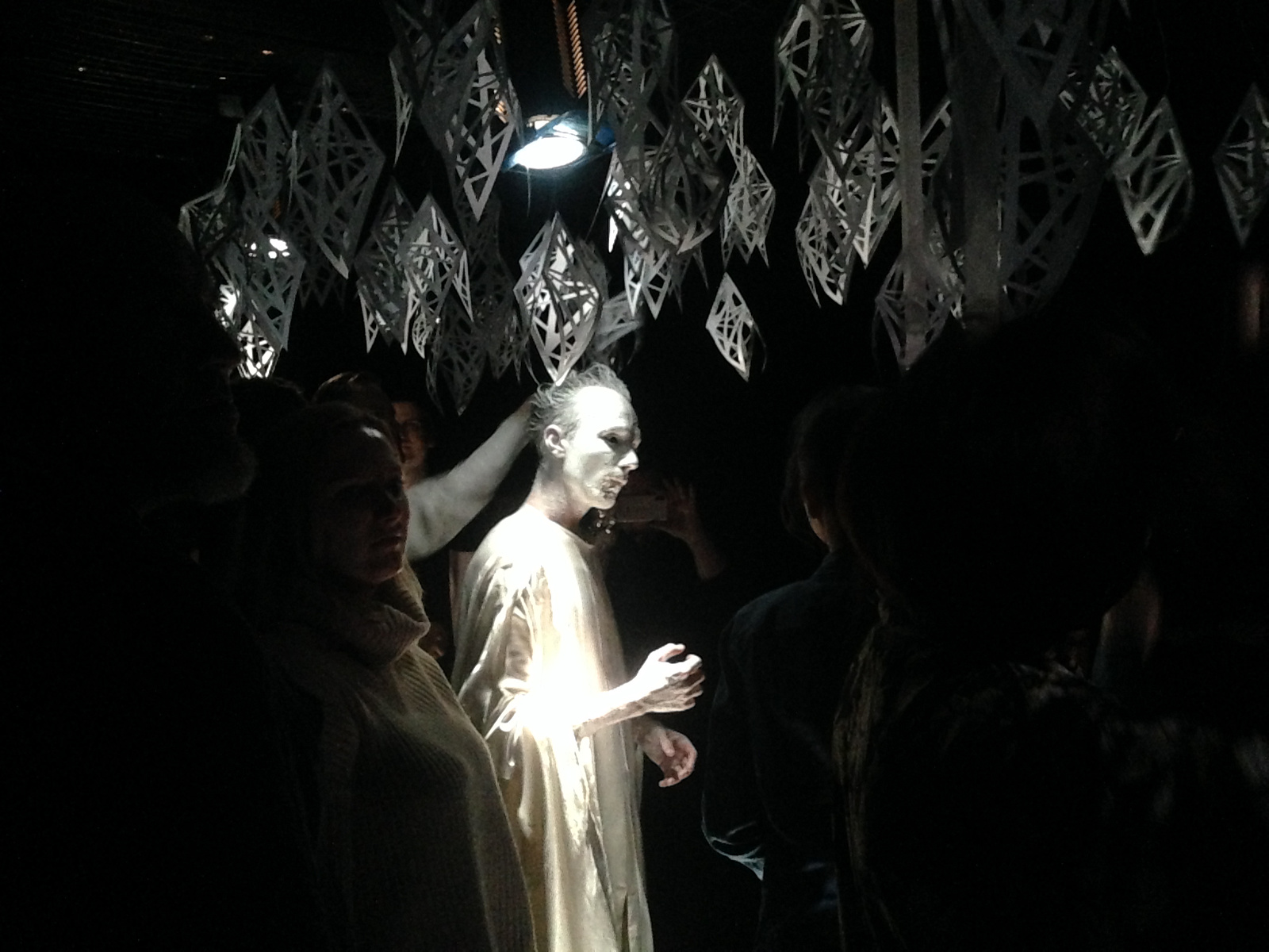 Хокку вид сбоку