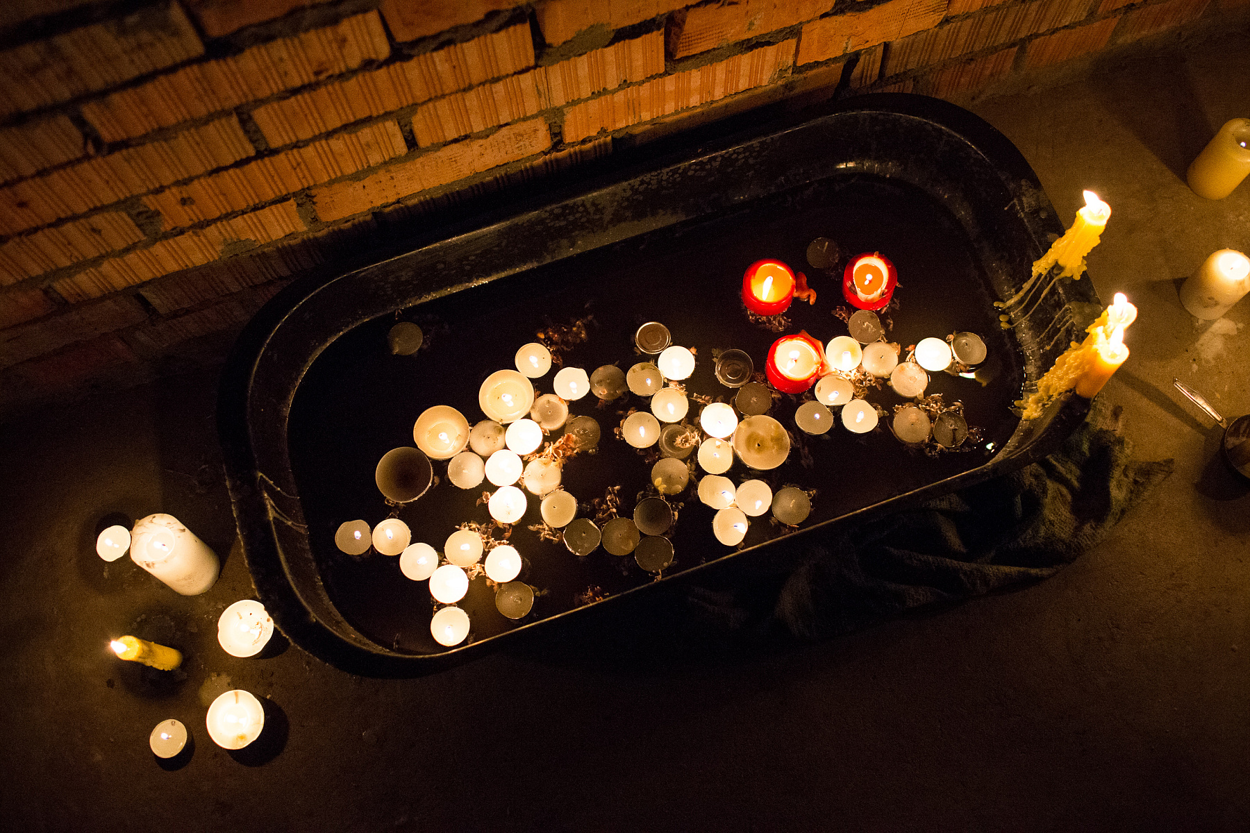 Мистерия «О чем говорят муравьи?»