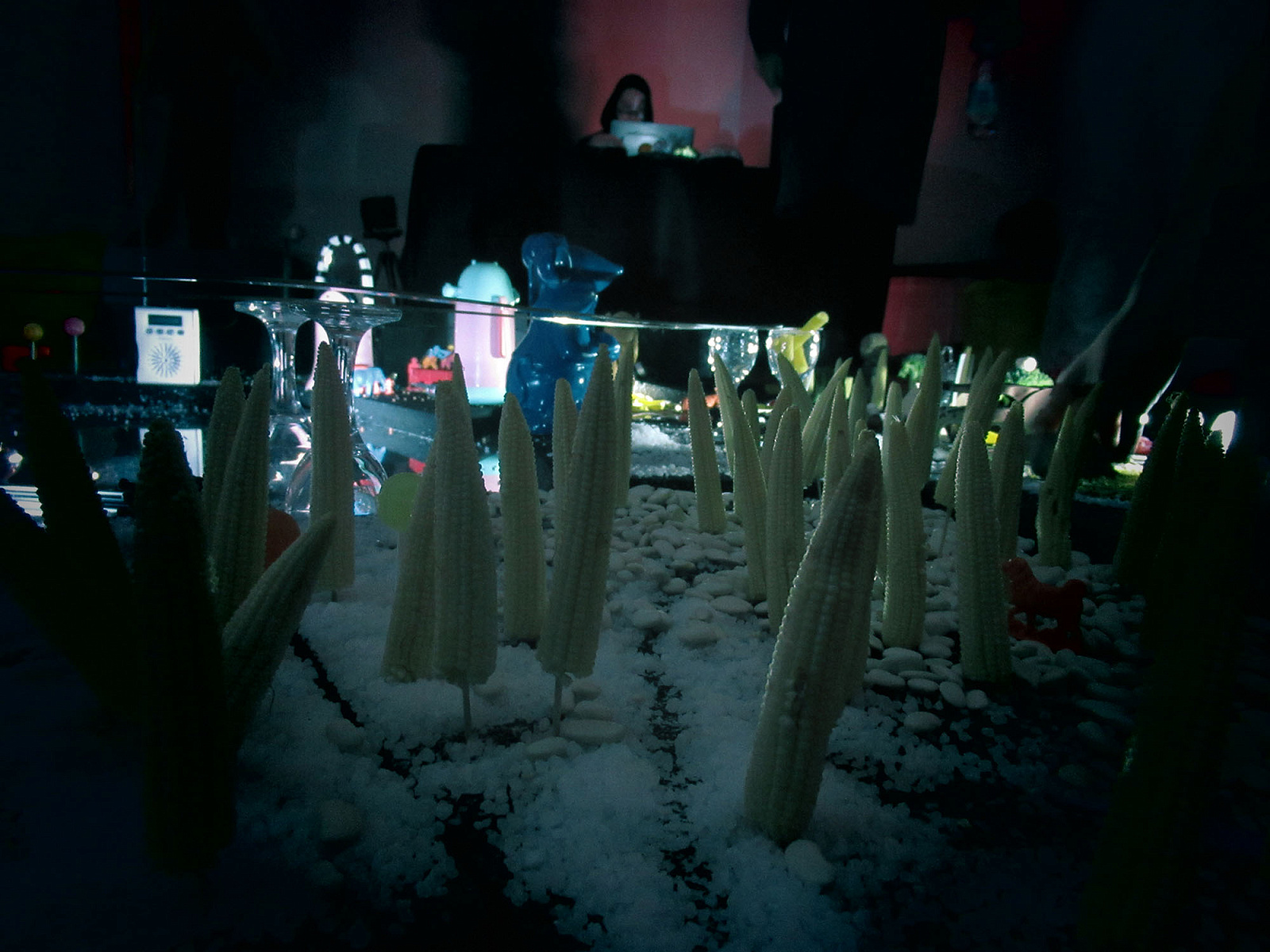 Хокку вид сбоку